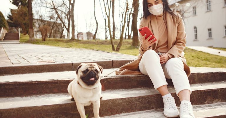Bezpečnost domácích mazlíčků: Jak chránit svého psa nebo kočku