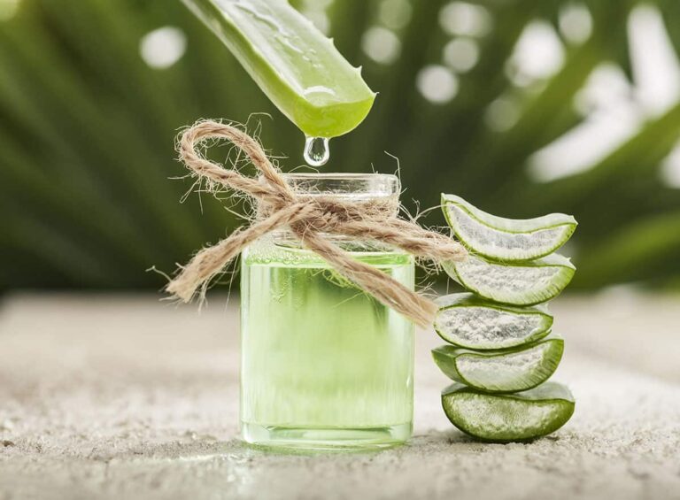 Aloe Vera používala také Kleopatra